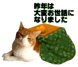 Cat's New Year sticker #14415141