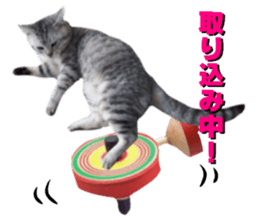 Cat's New Year sticker #14415143