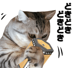 Cat's New Year sticker #14415144