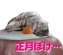 Cat's New Year sticker #14415145