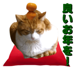 Cat's New Year sticker #14415146