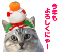Cat's New Year sticker #14415147
