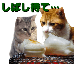 Cat's New Year sticker #14415148