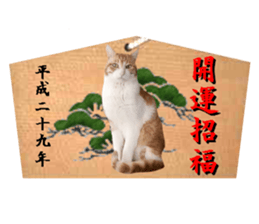 Cat's New Year sticker #14415150