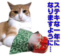 Cat's New Year sticker #14415153