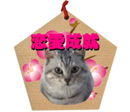 Cat's New Year sticker #14415154