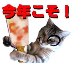 Cat's New Year sticker #14415156