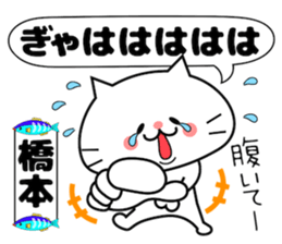 Funny Face Cat Hashimoto sticker #14415527