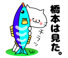 Funny Face Cat Hashimoto sticker #14415529