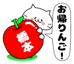 Funny Face Cat Hashimoto sticker #14415532