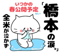 Funny Face Cat Hashimoto sticker #14415534