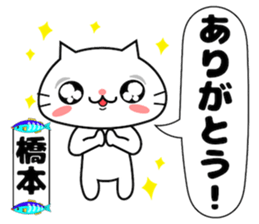 Funny Face Cat Hashimoto sticker #14415535
