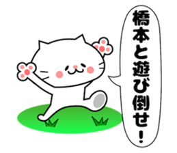 Funny Face Cat Hashimoto sticker #14415538