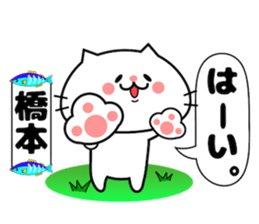 Funny Face Cat Hashimoto sticker #14415539