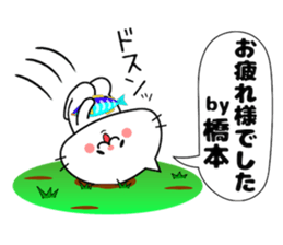 Funny Face Cat Hashimoto sticker #14415544