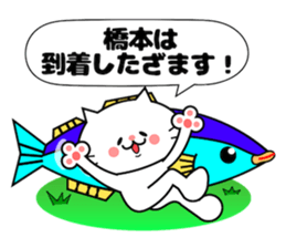 Funny Face Cat Hashimoto sticker #14415548