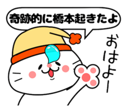 Funny Face Cat Hashimoto sticker #14415564