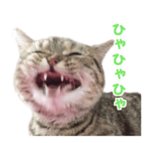 petstamp animation stickers2016 sticker #14416062