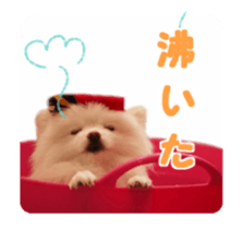 petstamp animation stickers2016 sticker #14416069