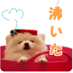 petstamp animation stickers2016