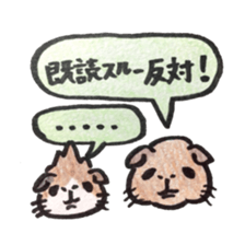 We are cavies sticker #14417410