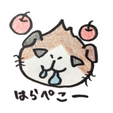 We are cavies sticker #14417411