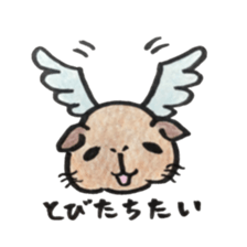 We are cavies sticker #14417414