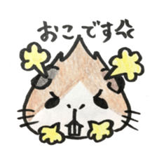 We are cavies sticker #14417416