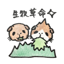 We are cavies sticker #14417426