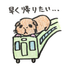 We are cavies sticker #14417429