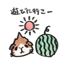 We are cavies sticker #14417436