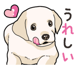 Wanko-biyori puppy Labrador retriever 3 sticker #14418778