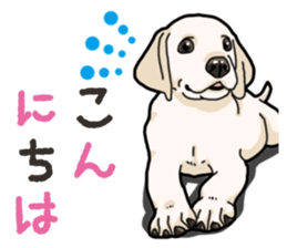 Wanko-biyori puppy Labrador retriever 3 sticker #14418782