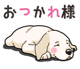 Wanko-biyori puppy Labrador retriever 3 sticker #14418784