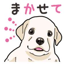 Wanko-biyori puppy Labrador retriever 3 sticker #14418786