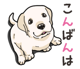 Wanko-biyori puppy Labrador retriever 3 sticker #14418788