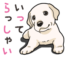 Wanko-biyori puppy Labrador retriever 3 sticker #14418792