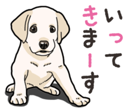 Wanko-biyori puppy Labrador retriever 3 sticker #14418794