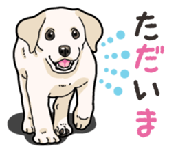 Wanko-biyori puppy Labrador retriever 3 sticker #14418796