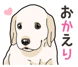 Wanko-biyori puppy Labrador retriever 3 sticker #14418802