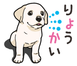 Wanko-biyori puppy Labrador retriever 3 sticker #14418804