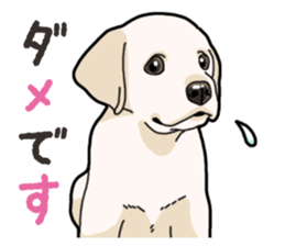 Wanko-biyori puppy Labrador retriever 3 sticker #14418806