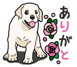 Wanko-biyori puppy Labrador retriever 3 sticker #14418808