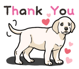 Wanko-biyori puppy Labrador retriever 3 sticker #14418810