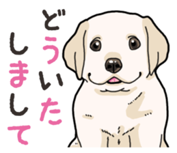Wanko-biyori puppy Labrador retriever 3 sticker #14418812