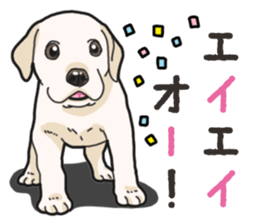 Wanko-biyori puppy Labrador retriever 3 sticker #14418818