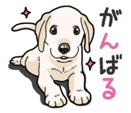 Wanko-biyori puppy Labrador retriever 3 sticker #14418820