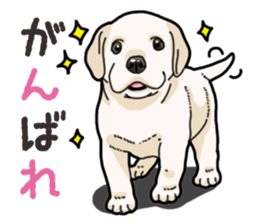 Wanko-biyori puppy Labrador retriever 3 sticker #14418822