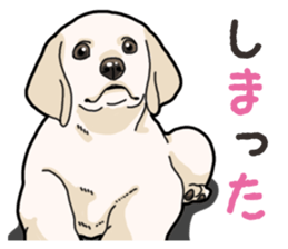 Wanko-biyori puppy Labrador retriever 3 sticker #14418828