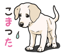 Wanko-biyori puppy Labrador retriever 3 sticker #14418830